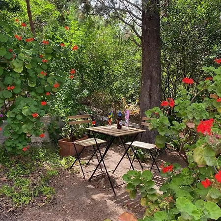 Apartamento La Rosee